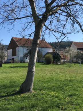 Domaine La Bonne Dame - Merle, au coeur des Vosges Plainfaing